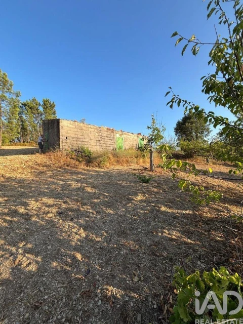 Terreno para Venda em Sobreira Formosa e Alvito da Beira