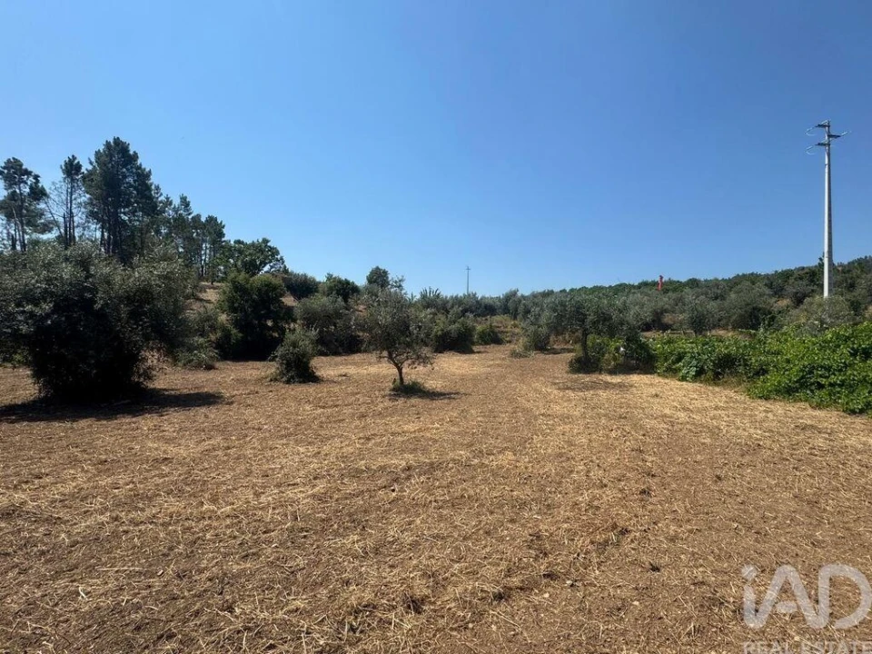 Terreno para Venda em Sobreira Formosa e Alvito da Beira Foto 15