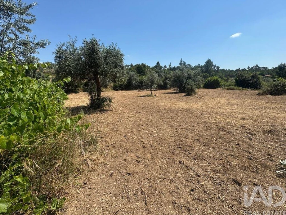 Terreno para Venda em Sobreira Formosa e Alvito da Beira Foto 17