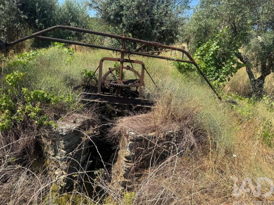 Terreno para Venda em Sobreira Formosa e Alvito da Beira Foto 6