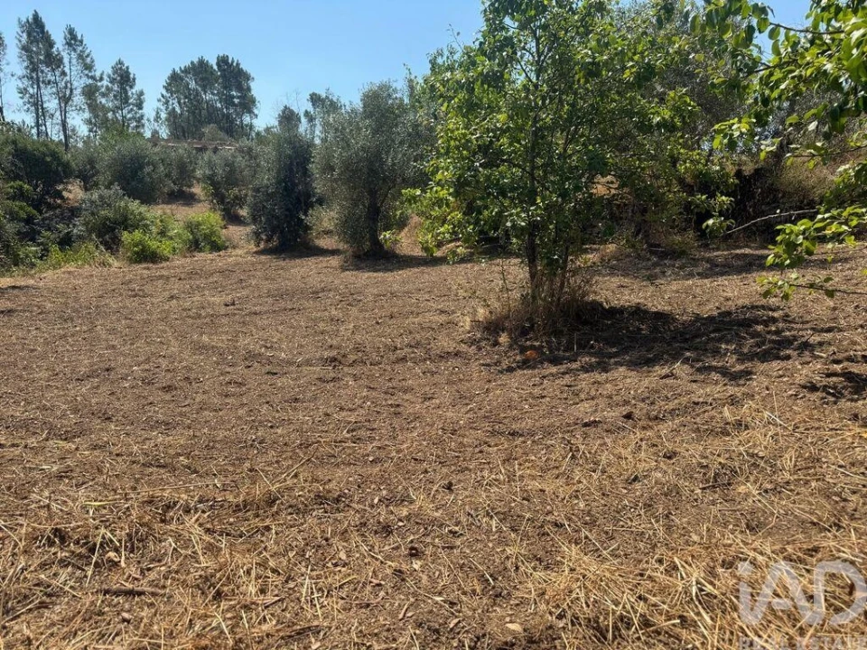 Terreno para Venda em Sobreira Formosa e Alvito da Beira Foto 10