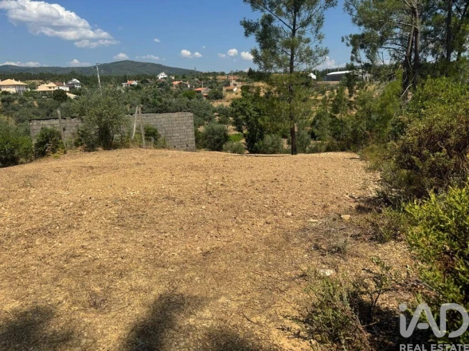 Terreno para Venda em Sobreira Formosa e Alvito da Beira Foto 31