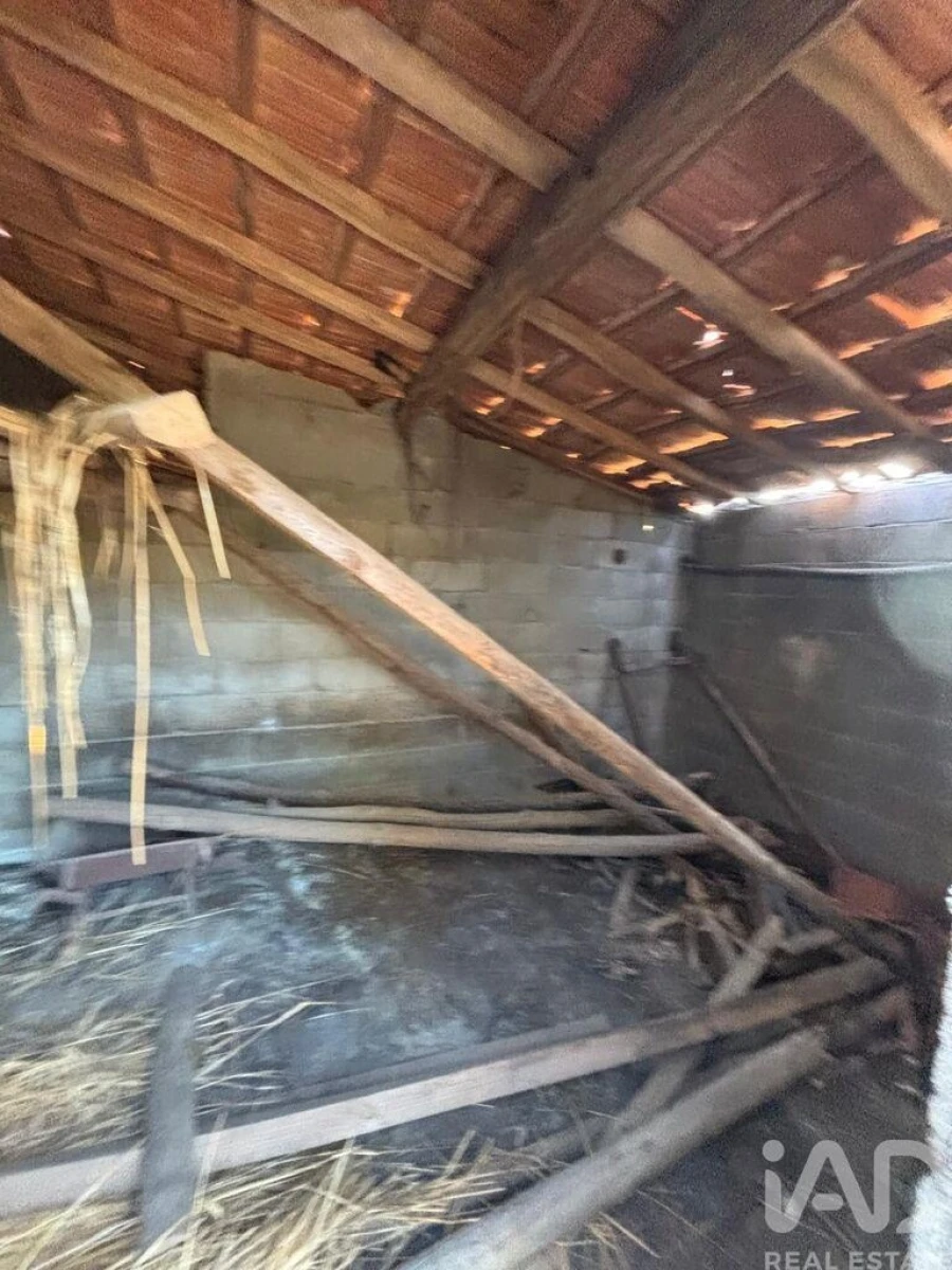 Terreno para Venda em Sobreira Formosa e Alvito da Beira Foto 23