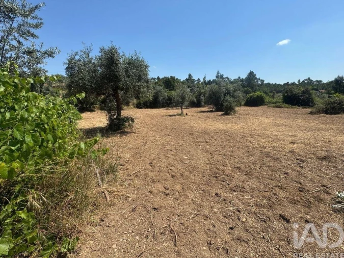 Terreno para Venda em Sobreira Formosa e Alvito da Beira Foto 17