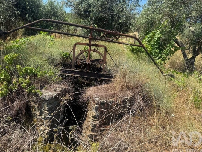 Terreno para Venda em Sobreira Formosa e Alvito da Beira Foto 6