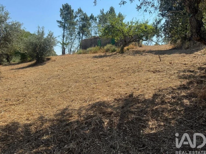 Terreno para Venda em Sobreira Formosa e Alvito da Beira Foto 33