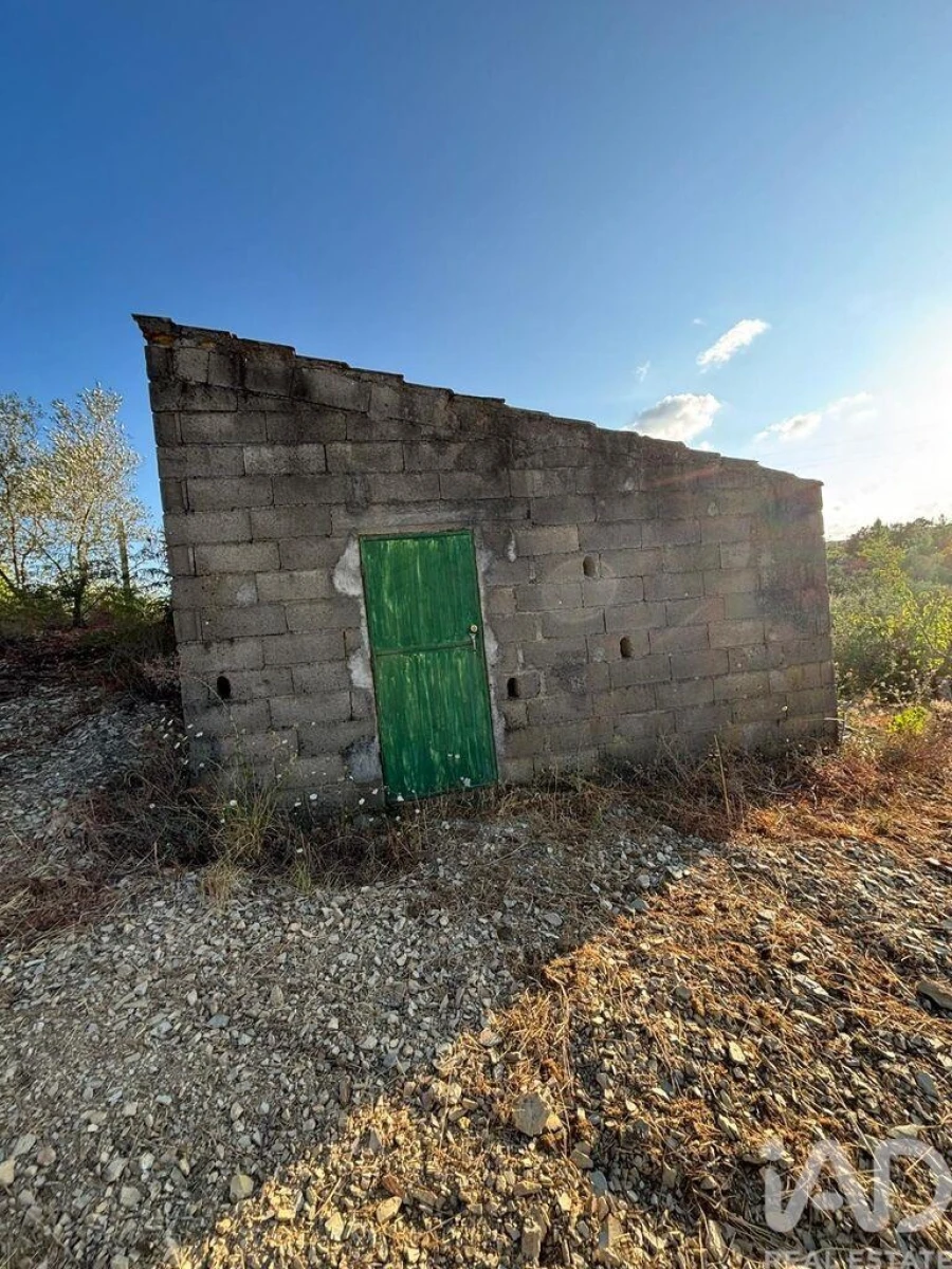 Terreno para Venda em Sobreira Formosa e Alvito da Beira Foto 20