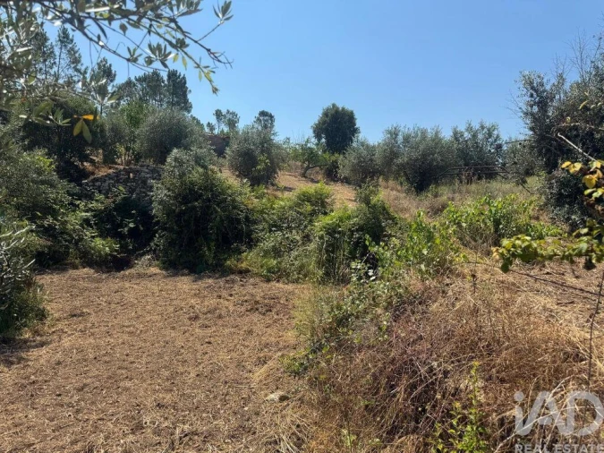 Terreno para Venda em Sobreira Formosa e Alvito da Beira Foto 34