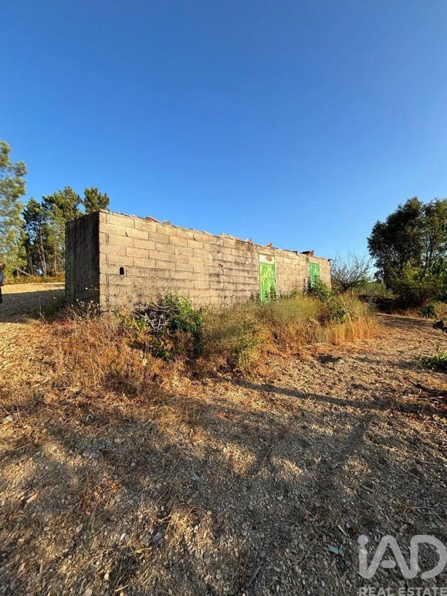 Terreno para Venda em Sobreira Formosa e Alvito da Beira Foto 21