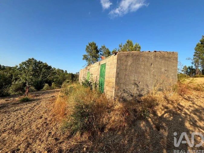 Terreno para Venda em Sobreira Formosa e Alvito da Beira Foto 26