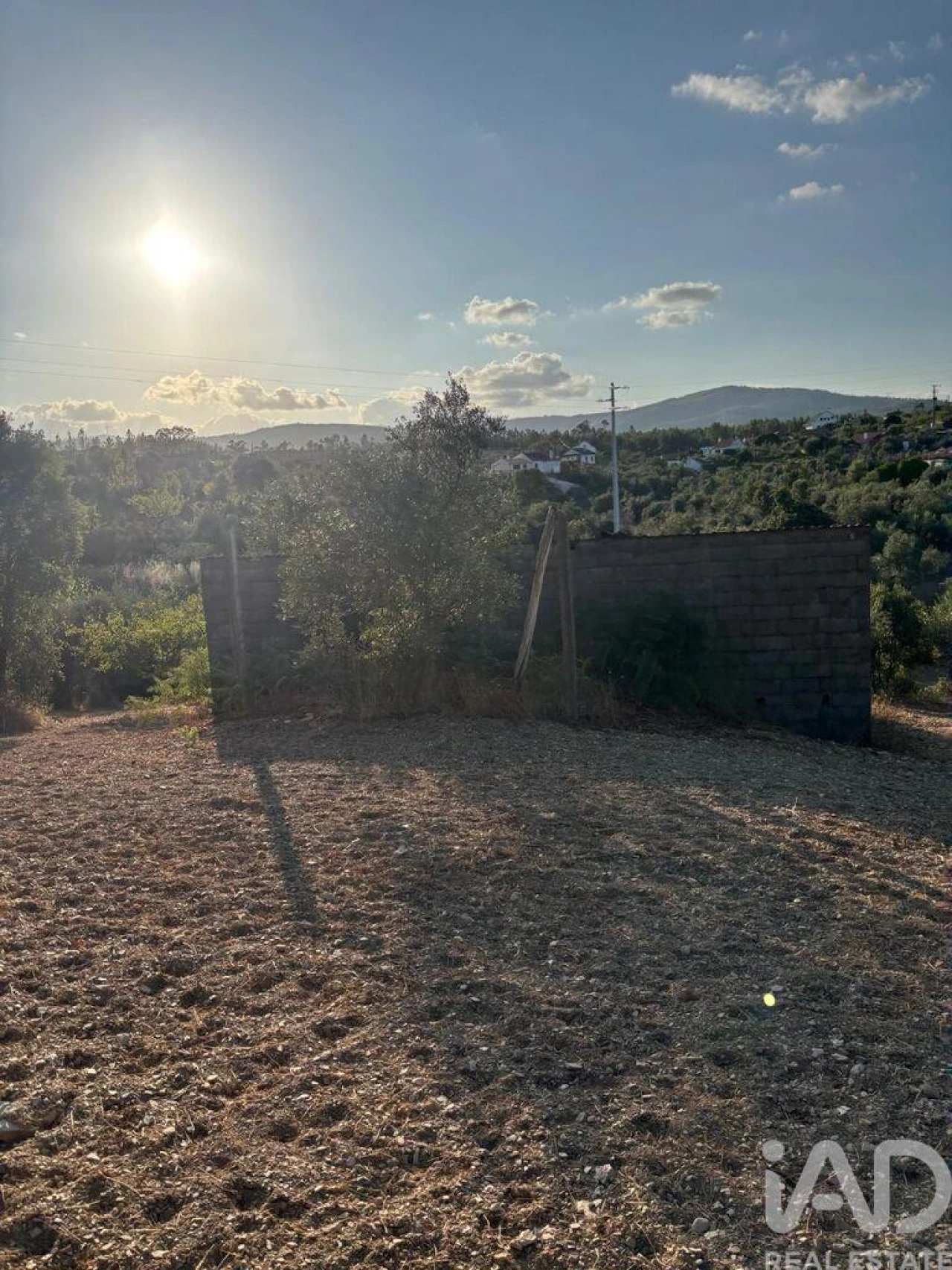 Terreno para Venda em Sobreira Formosa e Alvito da Beira Foto 19