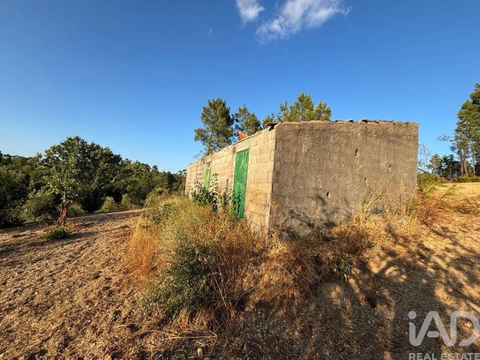 Terreno para Venda em Sobreira Formosa e Alvito da Beira Foto 26