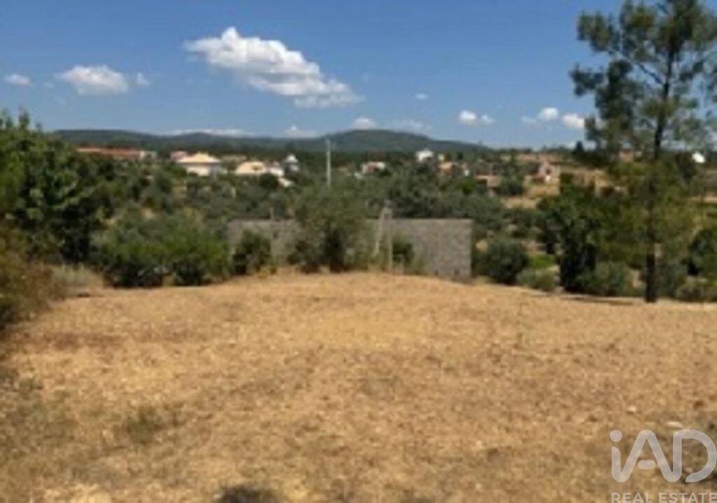 Terreno para Venda em Sobreira Formosa e Alvito da Beira Foto 30