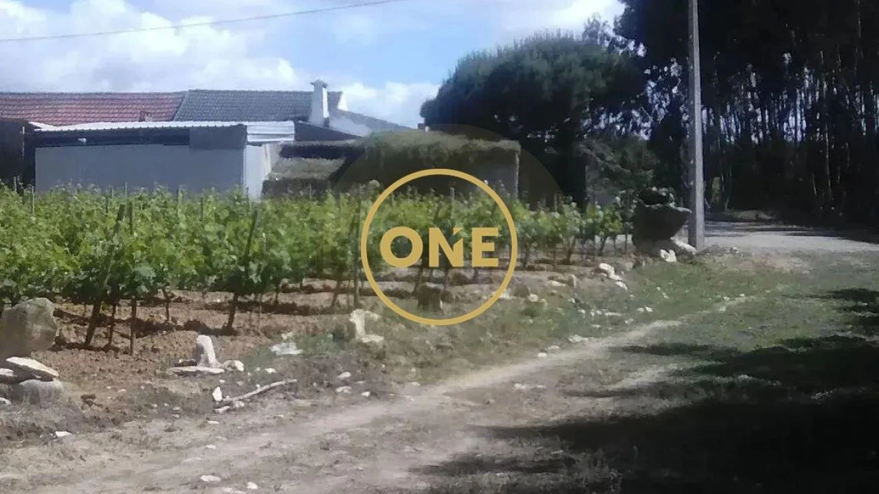 Terreno para Venda em São Bartolomeu dos Galegos e Moledo Foto 4