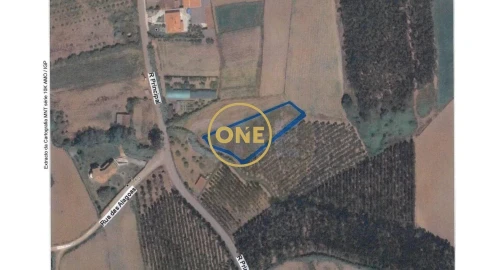Terreno para Venda em São Bartolomeu dos Galegos e Moledo