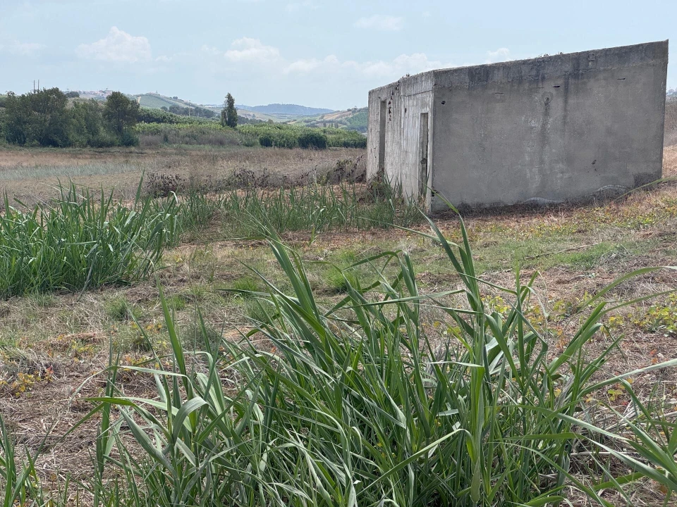 Terreno para Venda em São Pedro da Cadeira Foto 9