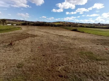 Terreno para Venda em São Pedro da Cadeira