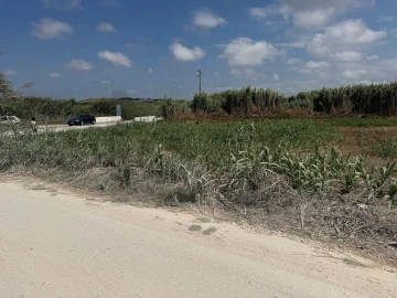 Terreno para Venda em São Pedro da Cadeira