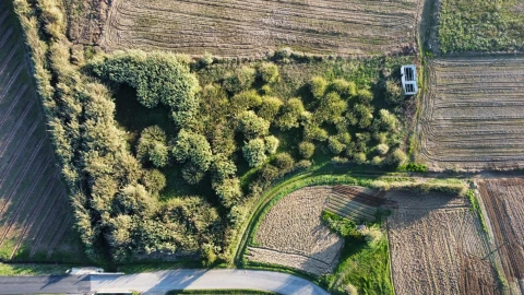 Terreno para Venda em São Pedro da Cadeira