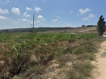 Terreno para Venda em São Pedro da Cadeira