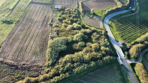 Terreno para Venda em São Pedro da Cadeira
