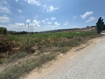 Terreno para Venda em São Pedro da Cadeira