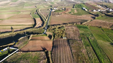 Terreno para Venda em São Pedro da Cadeira