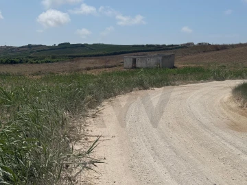 Terreno para Venda em São Pedro da Cadeira