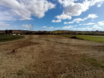 Terreno para Venda em São Pedro da Cadeira