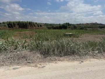 Terreno para Venda em São Pedro da Cadeira