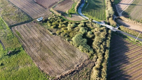 Terreno para Venda em São Pedro da Cadeira
