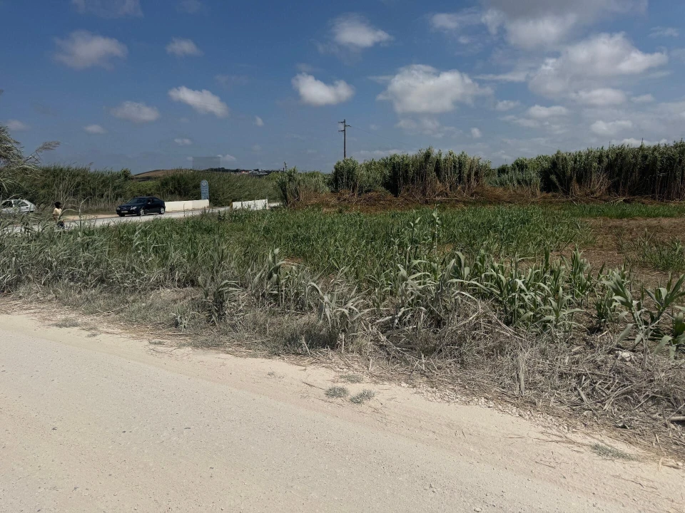 Terreno para Venda em São Pedro da Cadeira Foto 15