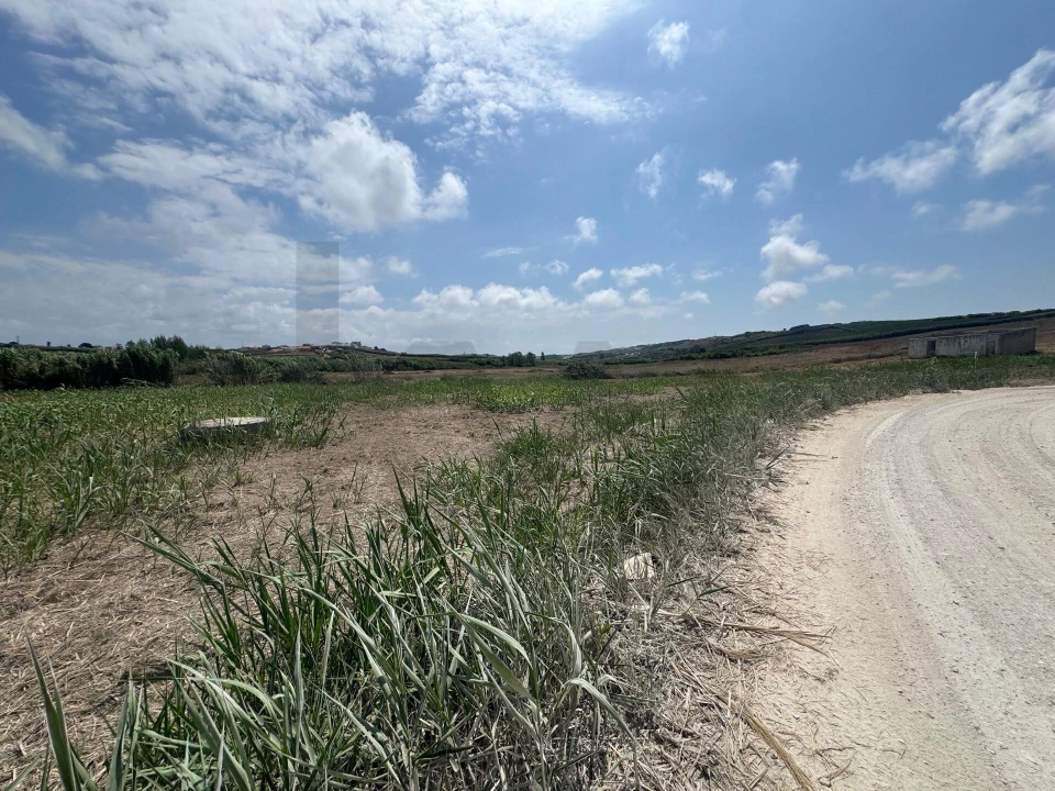 Terreno para Venda em São Pedro da Cadeira Foto 12