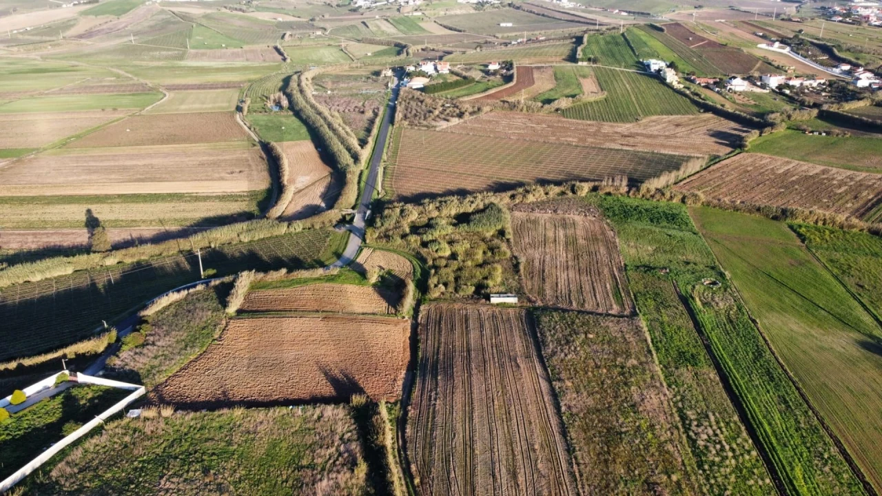 Terreno para Venda em São Pedro da Cadeira Foto 6