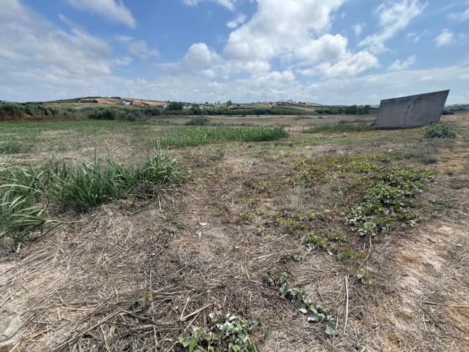 Terreno para Venda em São Pedro da Cadeira Foto 10