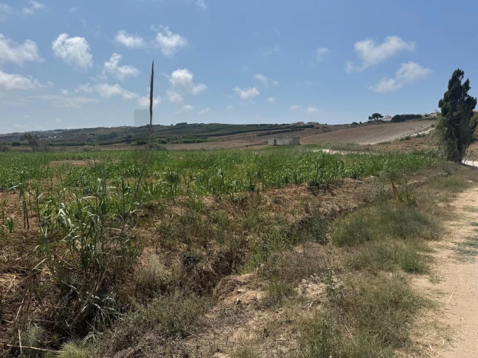 Terreno para Venda em São Pedro da Cadeira Foto 17