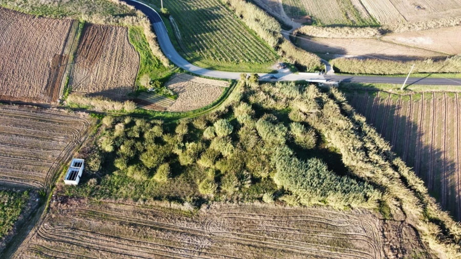 Terreno para Venda em São Pedro da Cadeira Foto 8