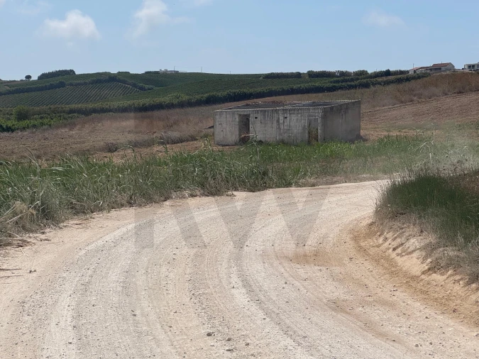 Terreno para Venda em São Pedro da Cadeira Foto 14