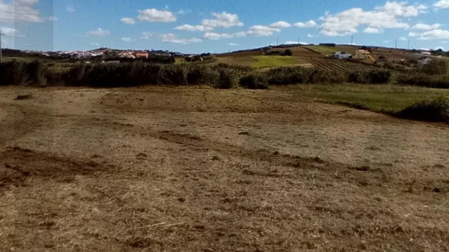 Terreno para Venda em São Pedro da Cadeira