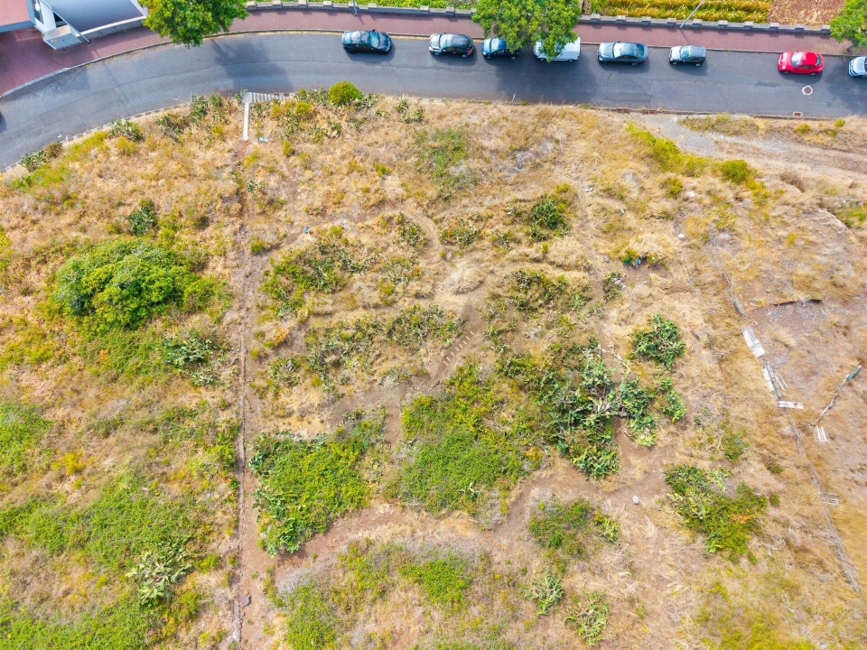 Terreno para Venda em Caniço Foto 17