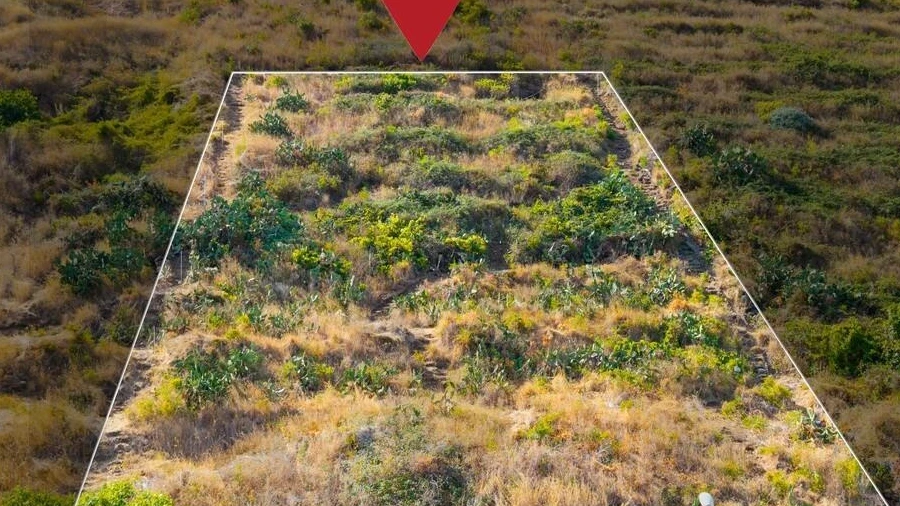 Terreno para Venda em Caniço