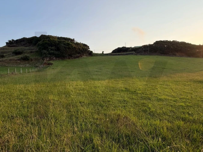 Terreno para Venda em São Pedro Foto 2