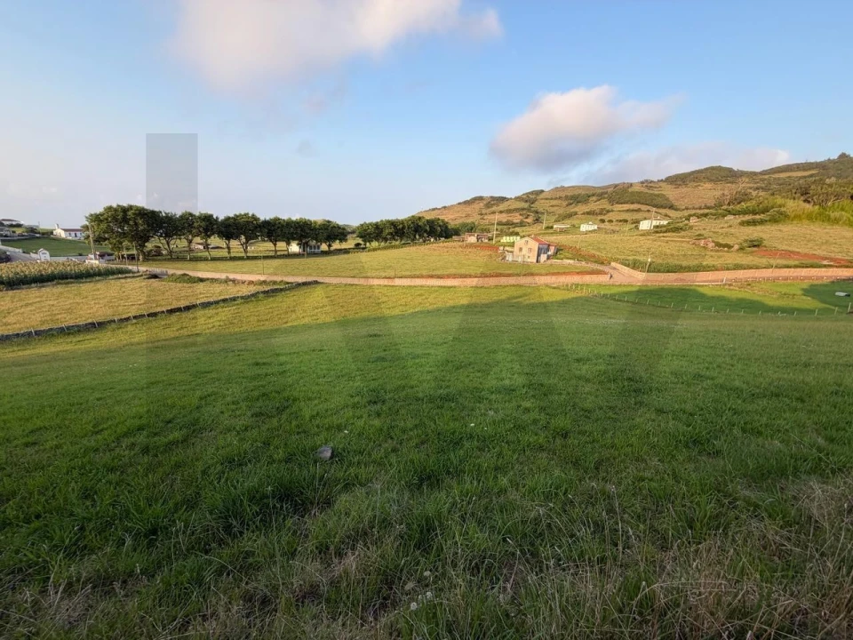 Terreno para Venda em São Pedro Foto 3