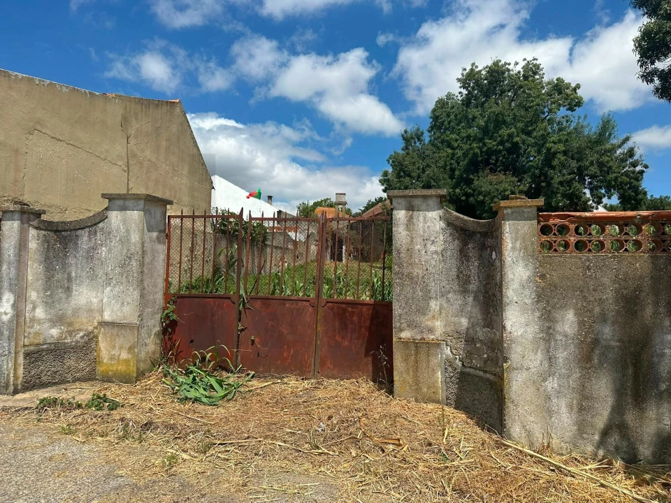 Terreno para Venda em Ventosa Foto 3