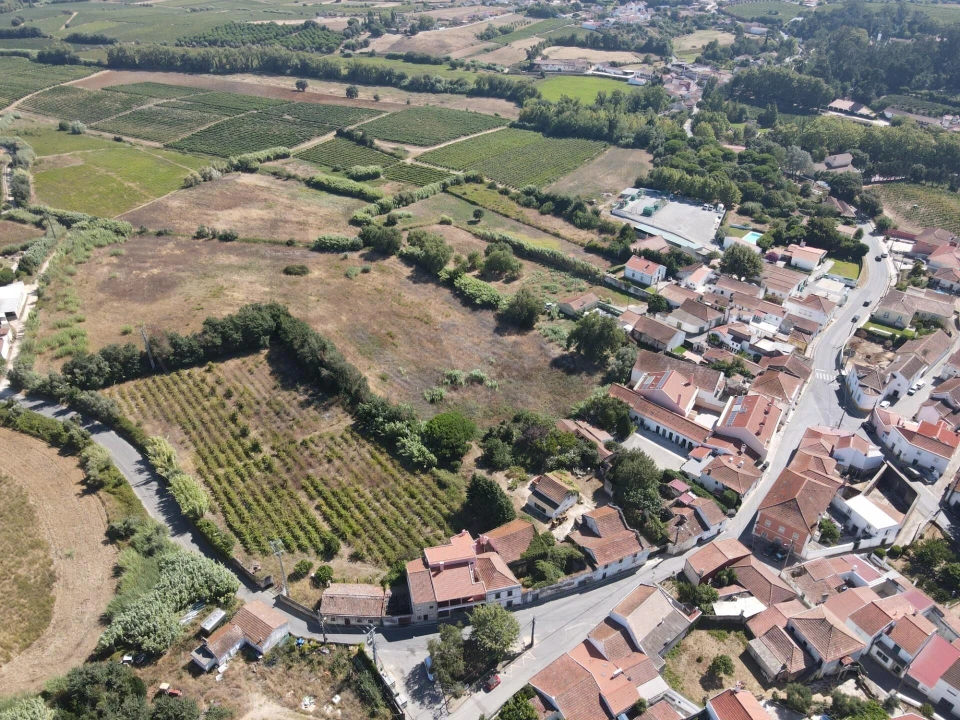 Terreno para Venda em Ventosa Foto 9