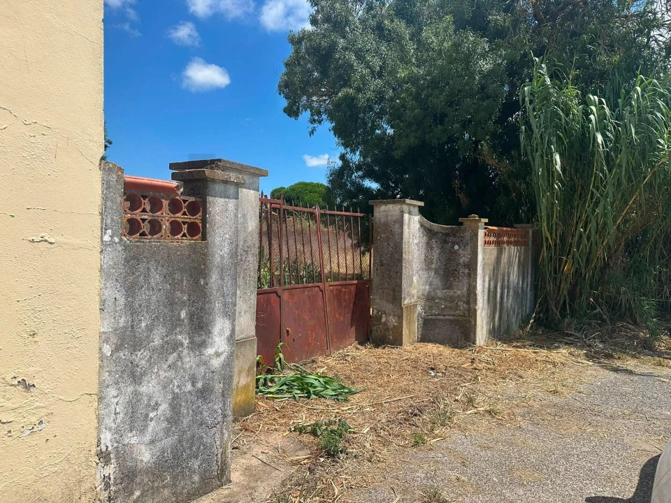Terreno para Venda em Ventosa Foto 1