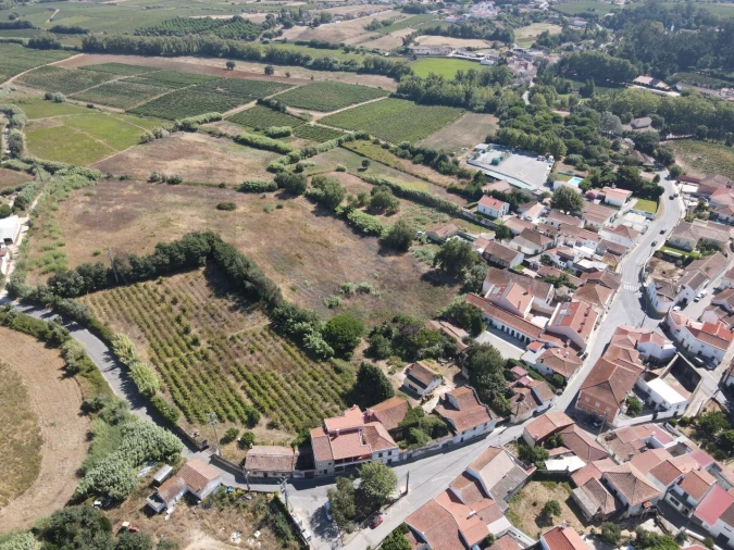 Terreno para Venda em Ventosa Foto 9