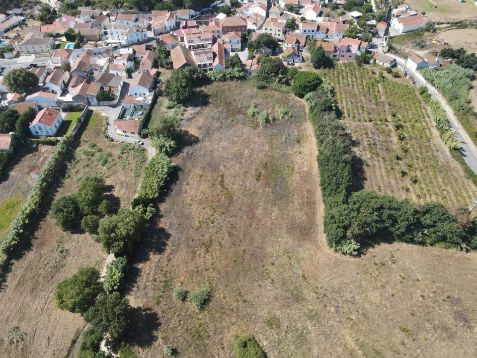 Terreno para Venda em Ventosa Foto 8