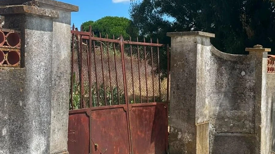 Terreno para Venda em Ventosa