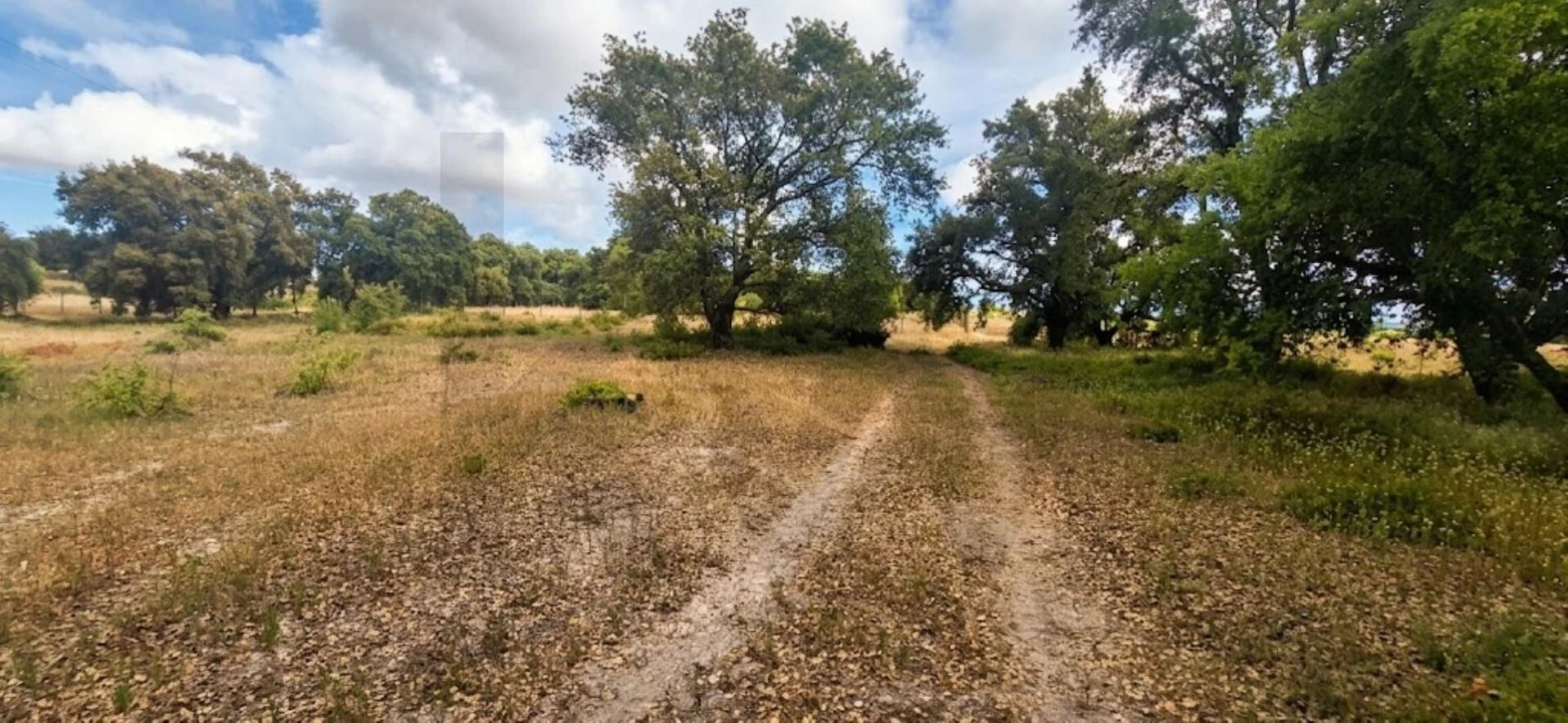 Terreno para Venda em Quinta do Anjo Foto 1